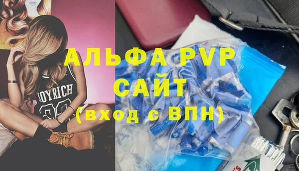 трава Карпинск