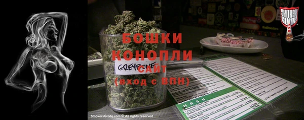 трава Карпинск