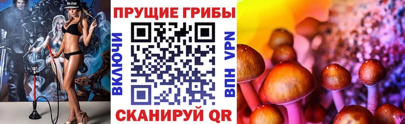 Купить где  Коркино  Галлюциногенные грибы MAGIC MUSHROOMS 